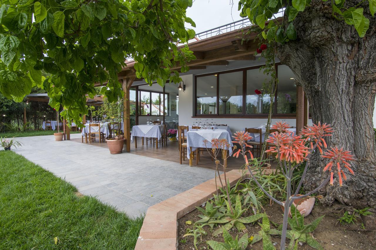 Cilentiamoci Guest House Centola Exterior photo