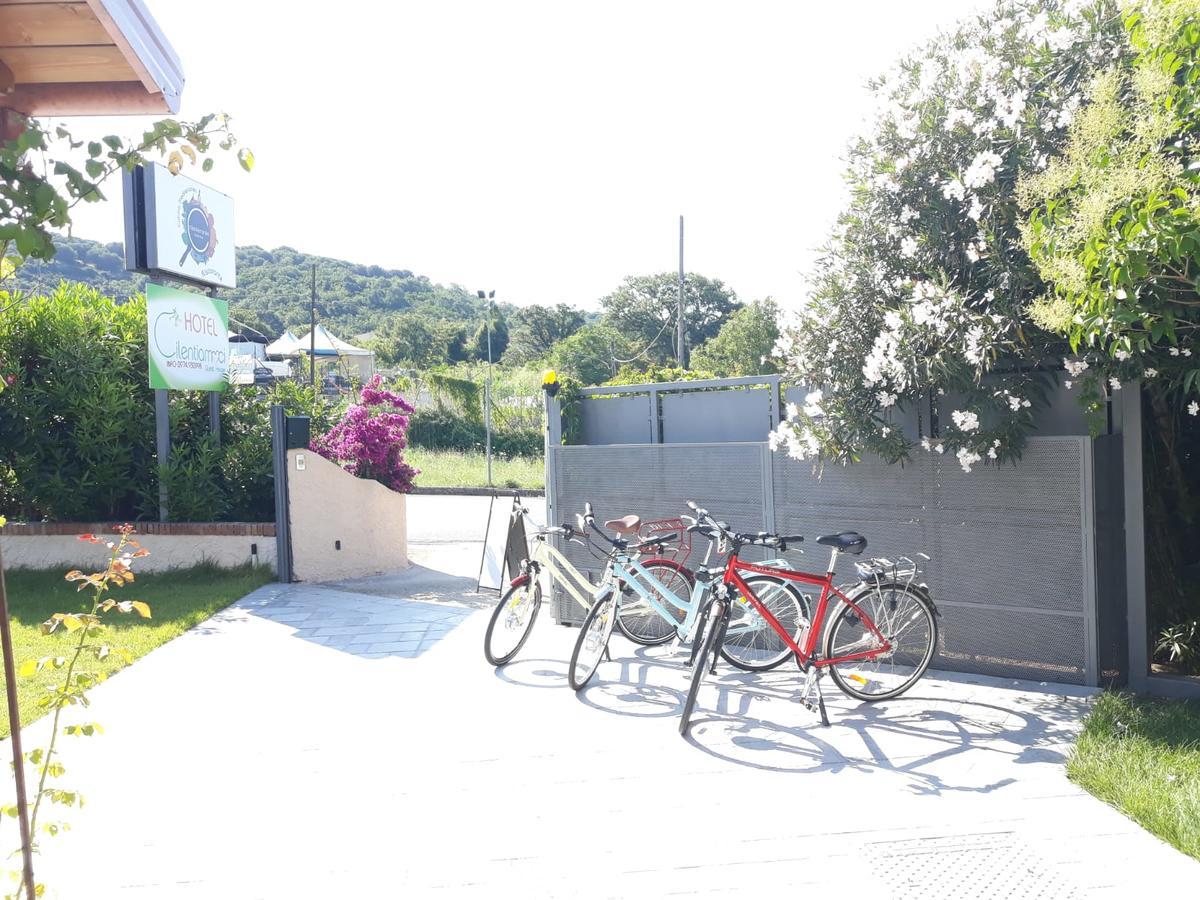 Cilentiamoci Guest House Centola Exterior photo